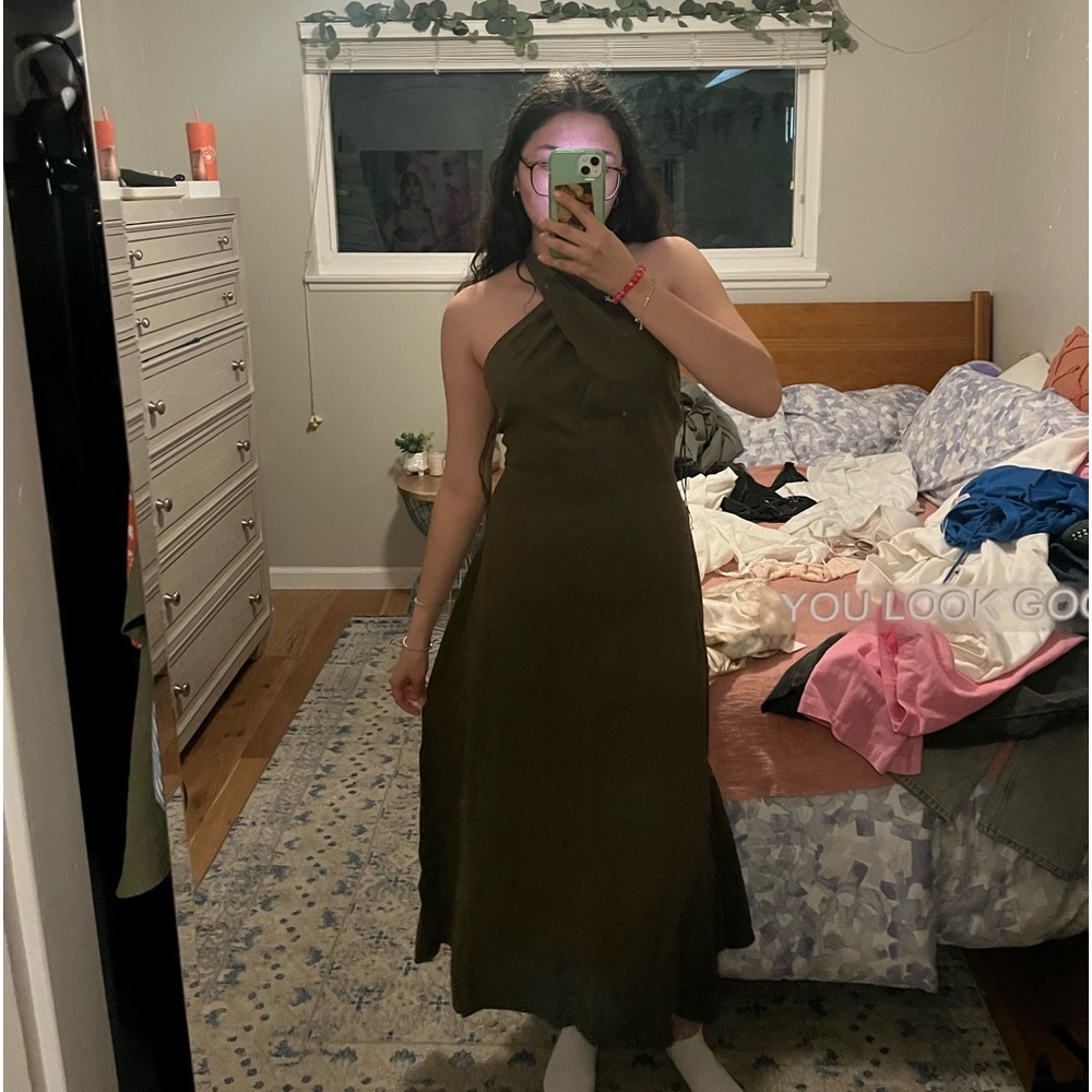 Zara dress